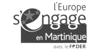 Europe-sengage